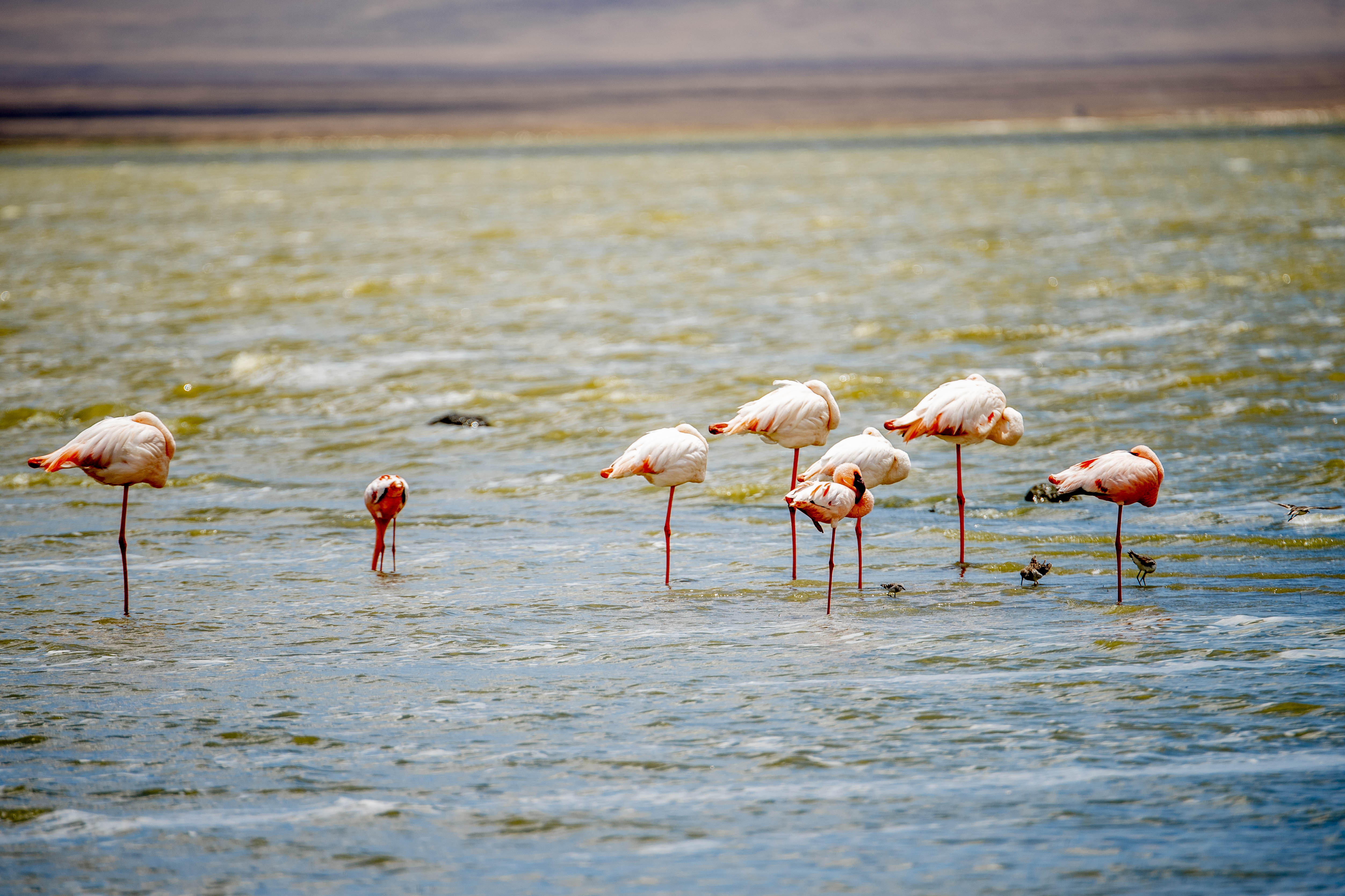 Ngorongoro Safari